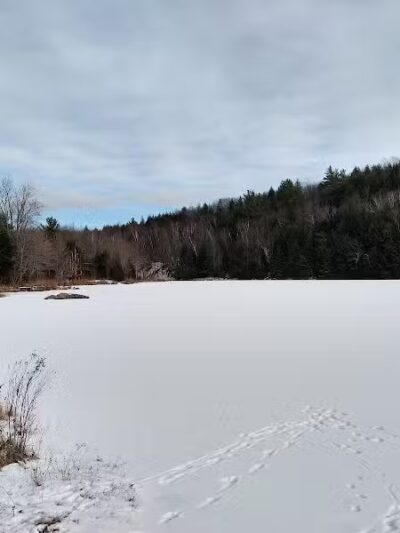 Milton Town Forest - Westford, VT
