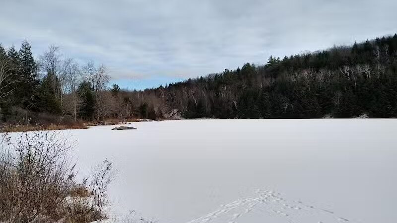 Milton Town Forest - Westford, VT