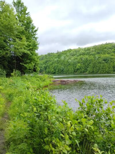 Milton Town Forest - Westford, VT