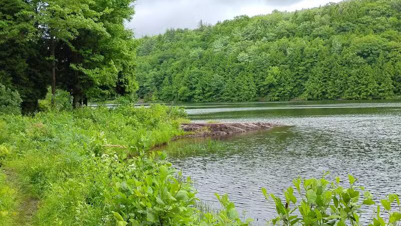 Milton Town Forest - Westford, VT