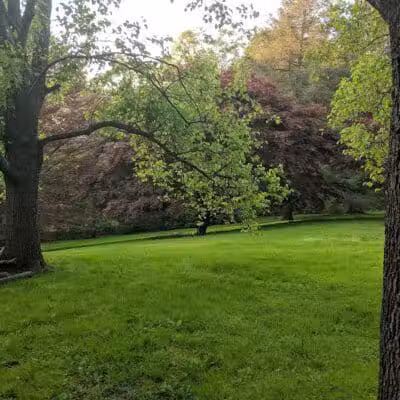 Bisceglie Park - Weston, CT