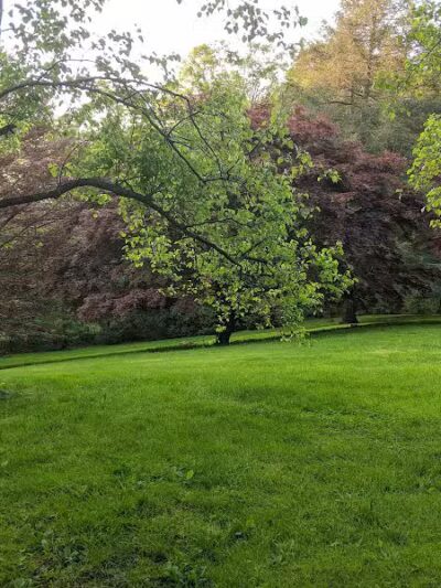 Bisceglie Park - Weston, CT