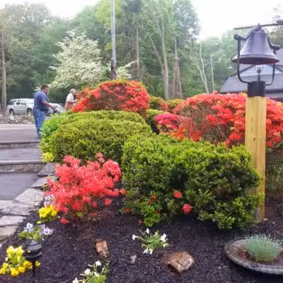 Bisceglie Park - Weston, CT