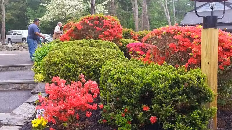 Bisceglie Park - Weston, CT