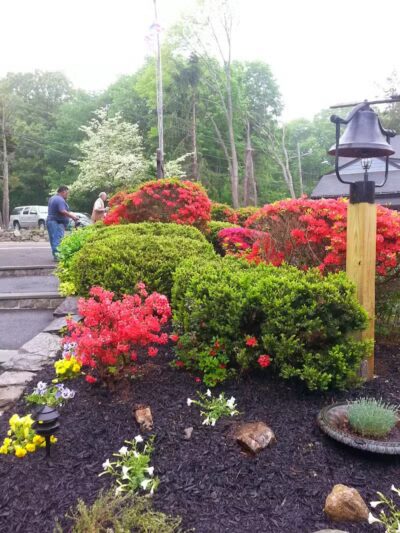 Bisceglie Park - Weston, CT