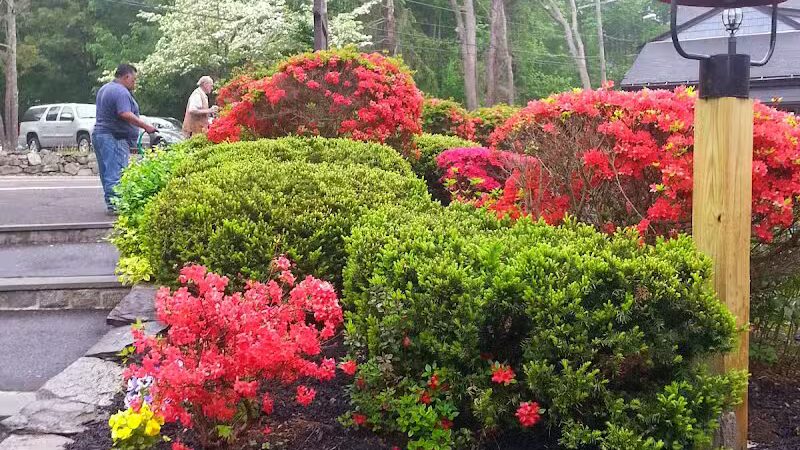 Bisceglie Park - Weston, CT