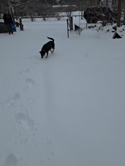 Bisceglie Park - Weston, CT