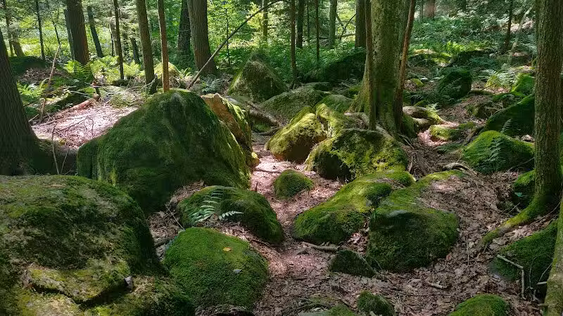 Trout Brook Valley Preserve - Weston, CT