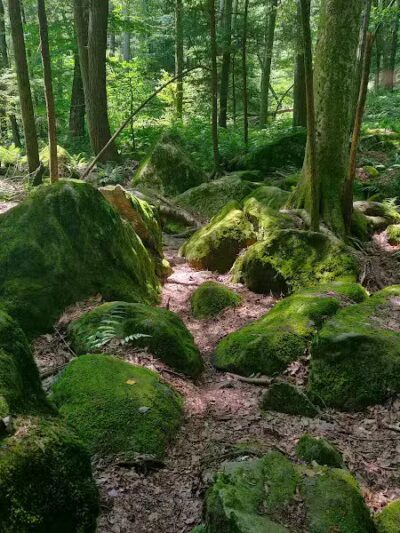 Trout Brook Valley Preserve - Weston, CT