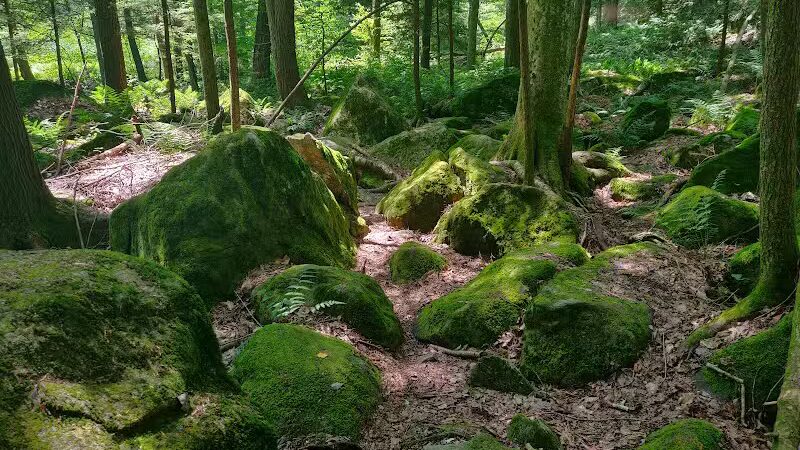 Trout Brook Valley Preserve - Weston, CT