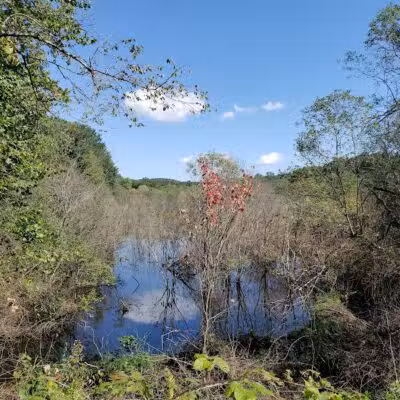Trout Brook Valley Preserve - Weston, CT
