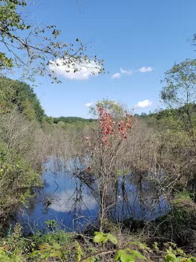 Trout Brook Valley Preserve - Weston, CT
