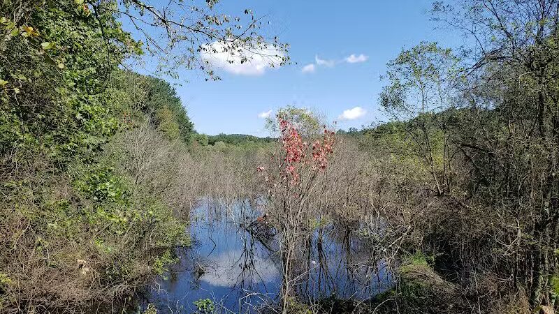 Trout Brook Valley Preserve - Weston, CT