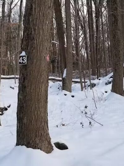 Trout Brook Valley Preserve - Weston, CT