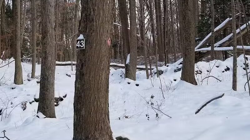 Trout Brook Valley Preserve - Weston, CT