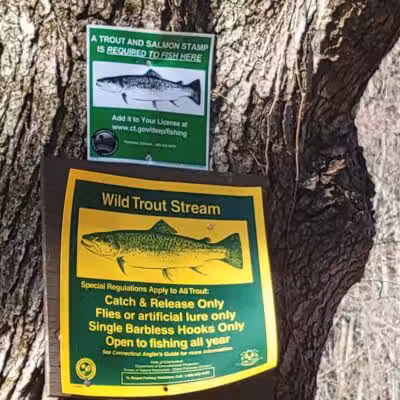Trout Brook Valley Preserve - Weston, CT