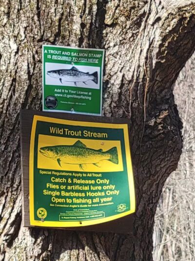 Trout Brook Valley Preserve - Weston, CT