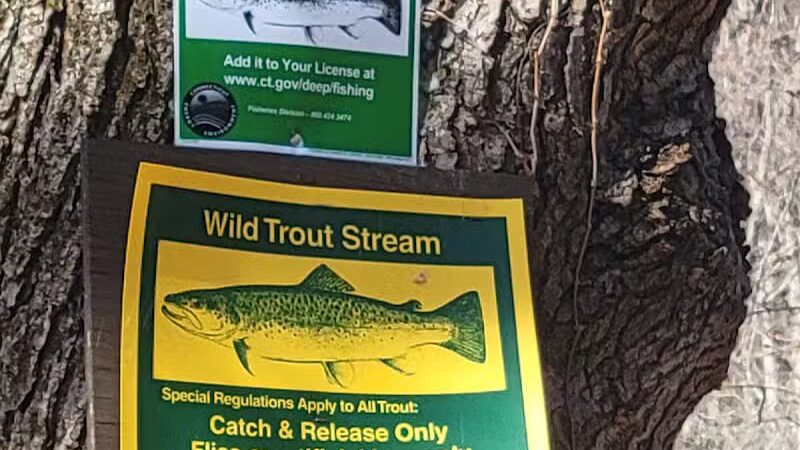 Trout Brook Valley Preserve - Weston, CT