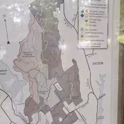 Trout Brook Valley Preserve - Weston, CT