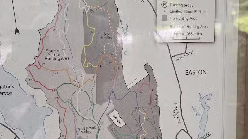 Trout Brook Valley Preserve - Weston, CT