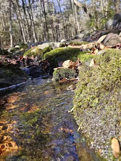 Trout Brook Valley Preserve - Weston, CT