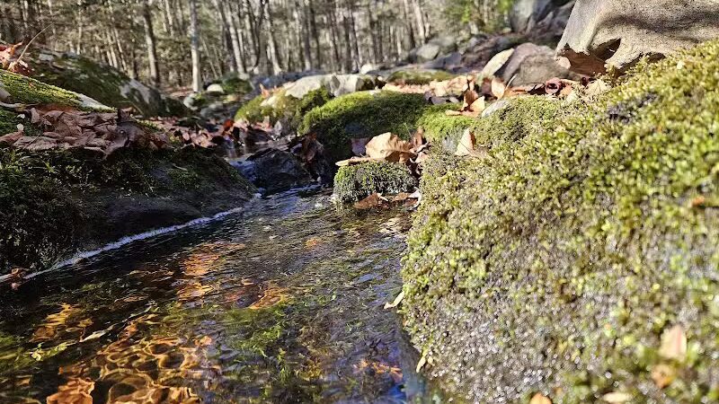 Trout Brook Valley Preserve - Weston, CT