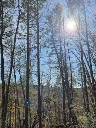 Trout Brook Valley Preserve - Weston, CT