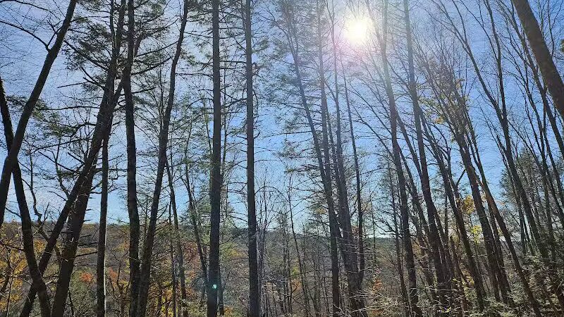 Trout Brook Valley Preserve - Weston, CT