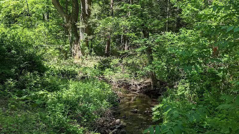 Trout Brook Valley Preserve - Weston, CT