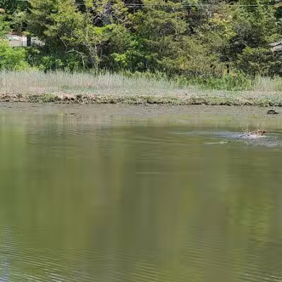 Grace K. Salmon Park - Westport, CT