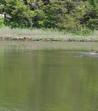 Grace K. Salmon Park - Westport, CT