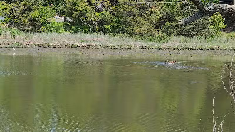 Grace K. Salmon Park - Westport, CT