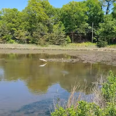Grace K. Salmon Park - Westport, CT