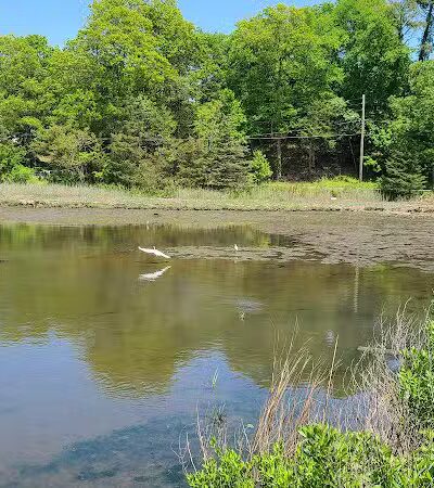 Grace K. Salmon Park - Westport, CT