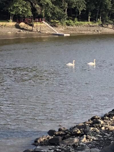 Pasacreta Park - Westport, CT