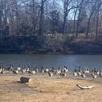 Riverside Park - Westport, CT