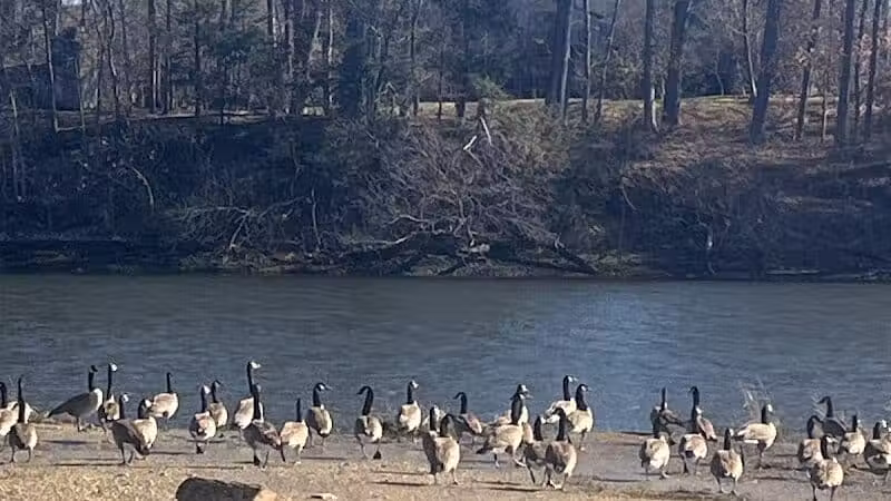 Riverside Park - Westport, CT