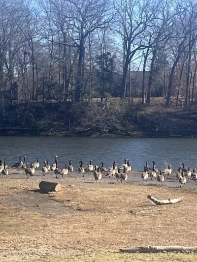Riverside Park - Westport, CT