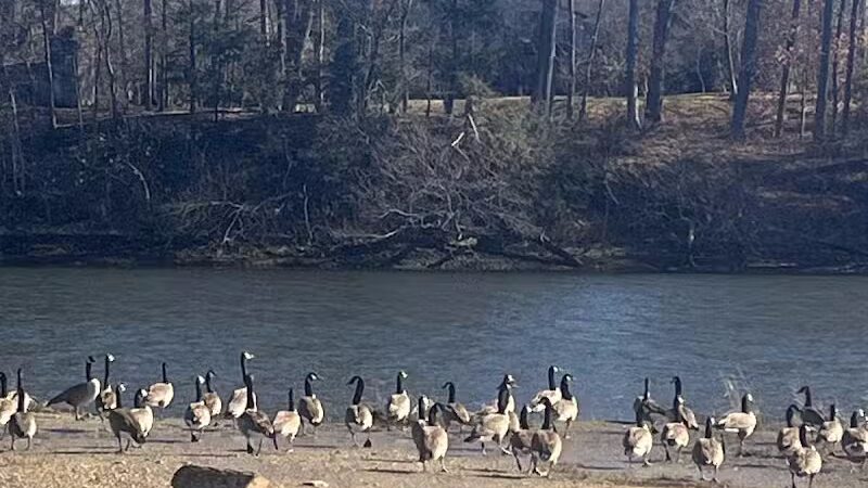 Riverside Park - Westport, CT