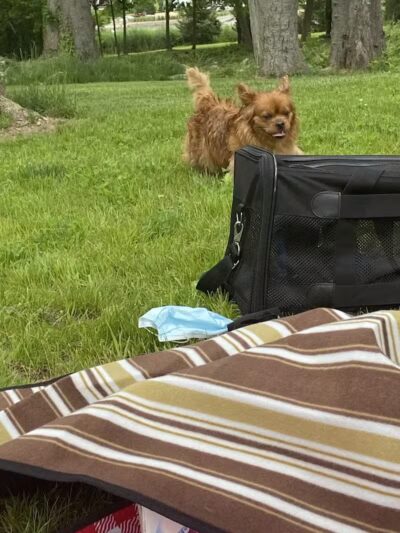 Riverside Park - Westport, CT