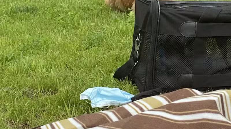 Riverside Park - Westport, CT