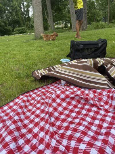 Riverside Park - Westport, CT