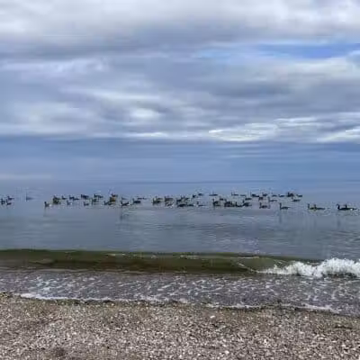 Sherwood Island State Park - Westport, CT