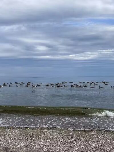 Sherwood Island State Park - Westport, CT