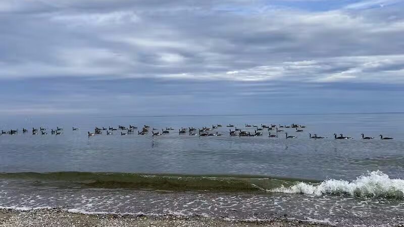 Sherwood Island State Park - Westport, CT
