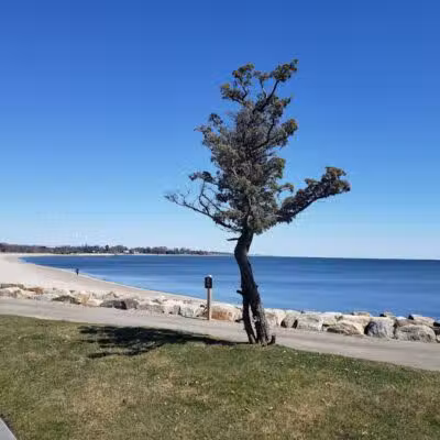 Sherwood Island State Park - Westport, CT