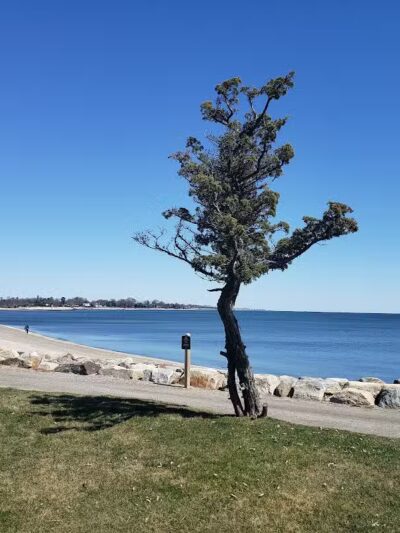 Sherwood Island State Park - Westport, CT