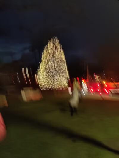 Town Hall Athletic Fields - Westport, CT