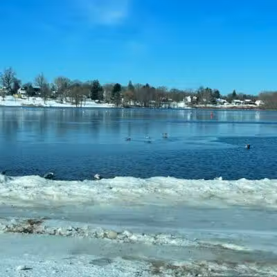 Cove Park Wethersfield - Wethersfield, CT