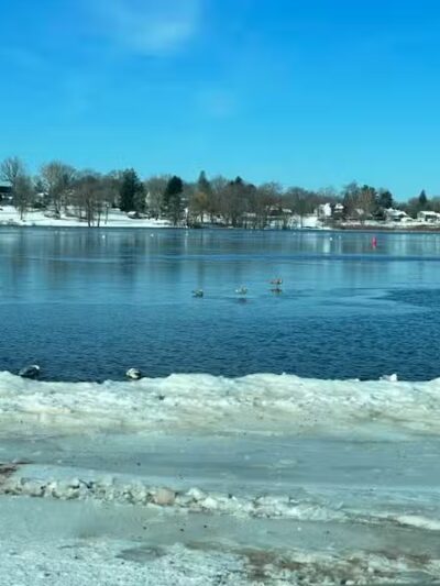 Cove Park Wethersfield - Wethersfield, CT